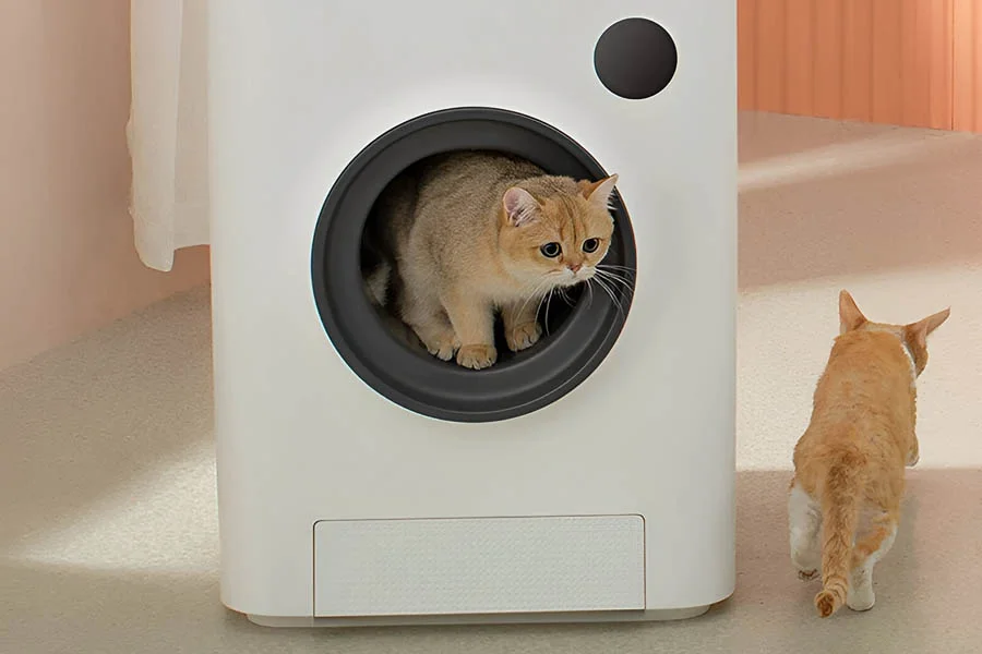 best automatic cat litter box for multiple cats