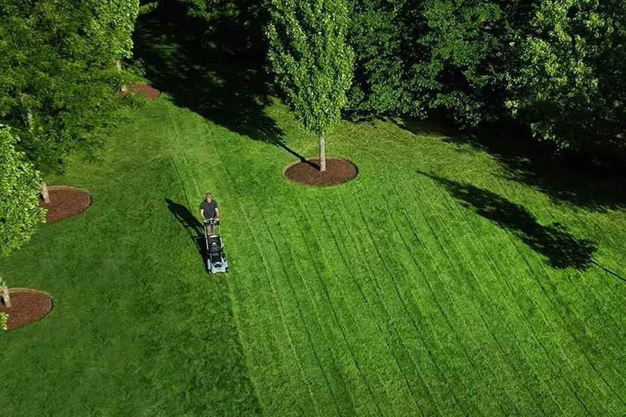 self-propelled electric lawn mower